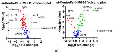 The Effect of HMGB1 and HMGB2 on Transcriptional Regulation Differs in ...