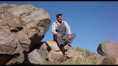 Beneath the Valley of the Ultra-Vixens (1979)