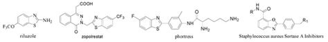 Eco-Friendly Syntheses of 2-Substituted Benzoxazoles and 2-Substituted ...