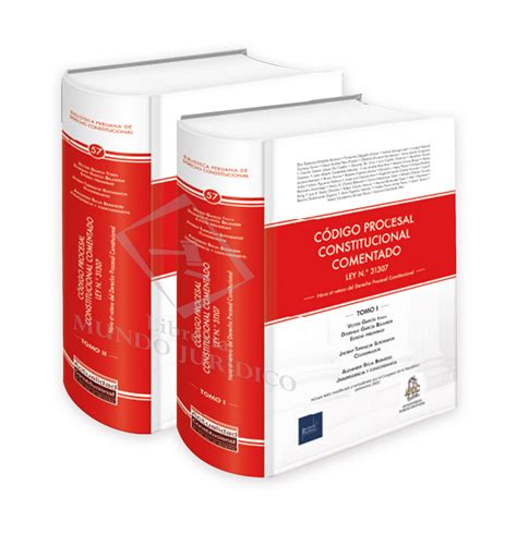 Codigo Procesal Constitucional