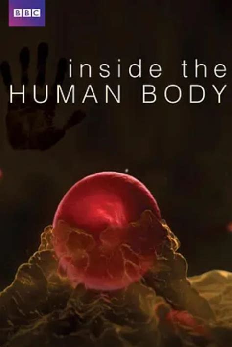 BBC4集纪录片《人体奥秘》 - 知乎