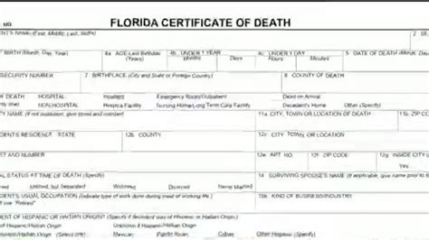 Cyberattack reported at Florida Dept. of Health, death certificates on ...