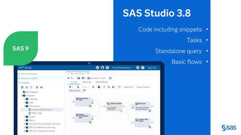 Image result for SAS Programming Studio Structure