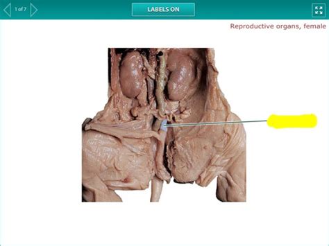 Image result for Gray Code Machine Learning Map