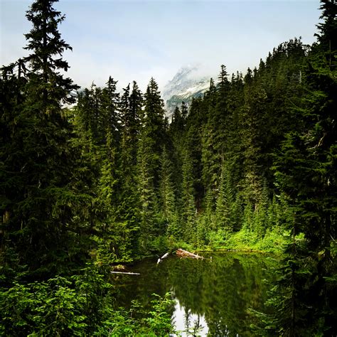 WanderingAway.com : Hiking Blanca Lake