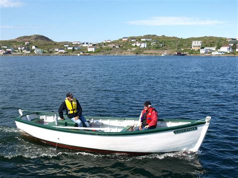 TWILLINGATE ADVENTURE TOURS (2026) All You Need to Know BEFORE You Go ...