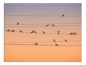 JP London X Solvent Free Poster Art Print PAPL1 X 846789 Music of Light ...