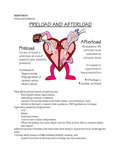 Perfusion - Class notes on preload and afterload effects - Studocu
