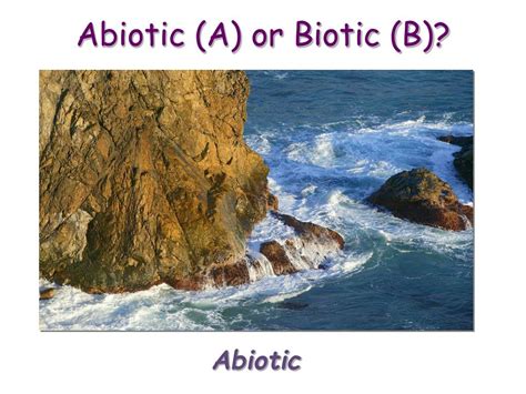 Ecology 的图像结果