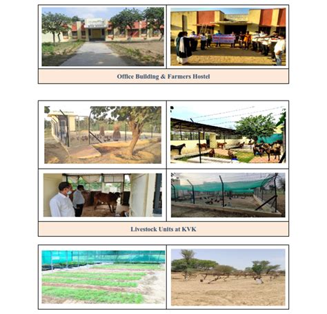 Sri Karan Narendra Agriculture University, Jobner