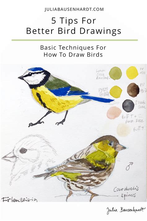 Image result for Drawing Tutorials Pretty Birds