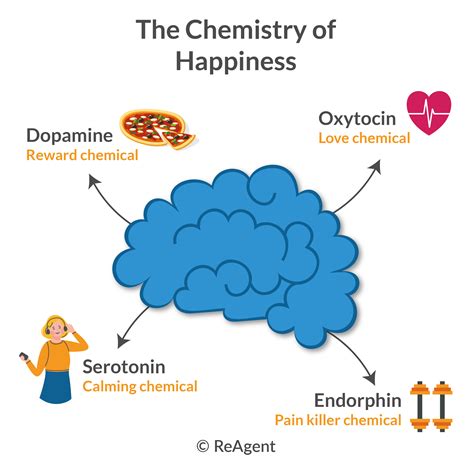 The Chemistry Of Happiness | The Chemistry Blog