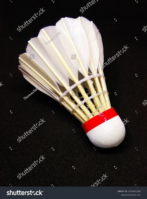 Playing Badminton 的图像结果