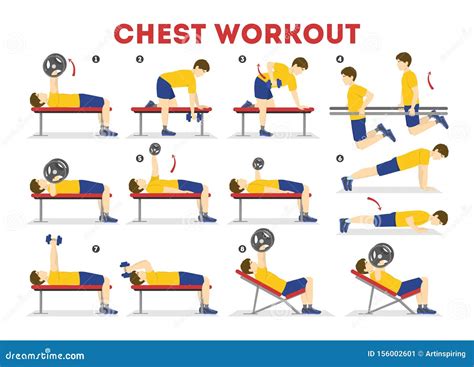 Chest Workout Set. Collection of Exercise for Arm Stock Vector ...