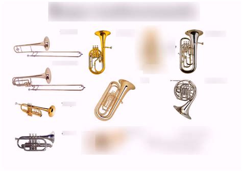 Brass Instruments Diagram | Quizlet