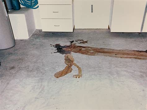 SLIDESHOW: I-Team uncovers unseen evidence, family photos from Darren ...