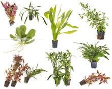 Image result for Web Development Software