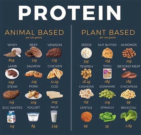 Examples of protein foods – Artofit