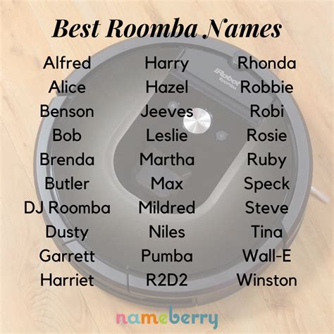 Funny Names For Roomba