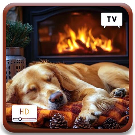 Peaceful Dog And Warm Fireside Ambience With Soothing Music Atmosphere ...