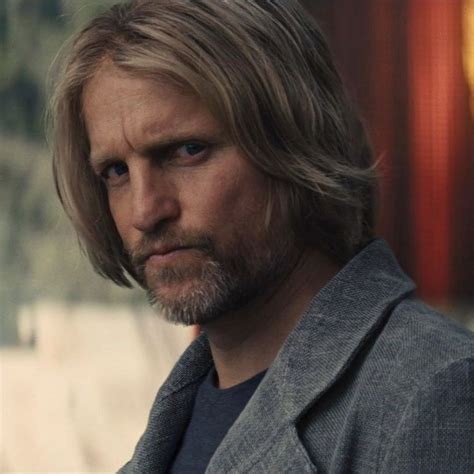 Haymitch Abernathy icon | Hunger games, Hunger games characters, Hunger ...