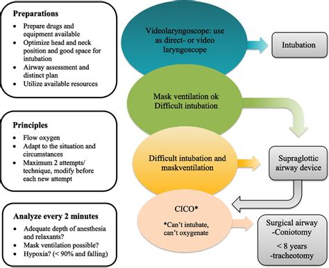 Image result for Difficult Airway Algorithm