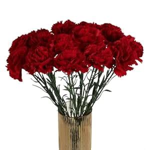 Buy INSUNSIX Carnations Artificial Flowers 15PCS Carnations Flowers ...