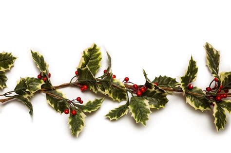 Christmas leaves png Images - Free Download on Freepik