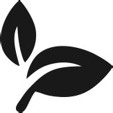 Lupaava : Best Online Ceramic Dinnerware in India