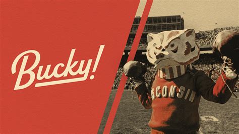 Image result for Bucky Python