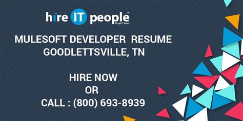 Image result for MuleSoft Developer Resume