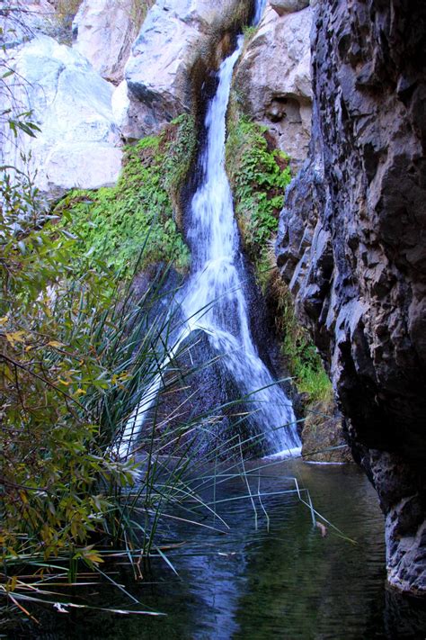Darwin Falls Death Valley National Park