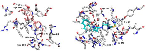 CNEURO-201, an Anti-amyloidogenic Agent and σ1-Receptor Agonist ...