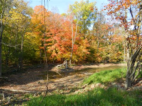 Rowsom's Tilbury West - Ontario's Conservation Areas