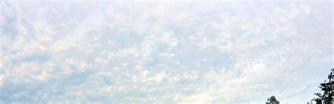 Countryside Adventure Tour by HoiAnGO E-Car - Klook India