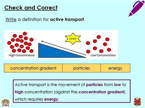Image result for Active Transport Video Example