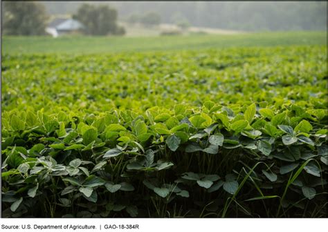 Farm Programs: Information on Payments [Reissued with Revisions Jun. 05 ...