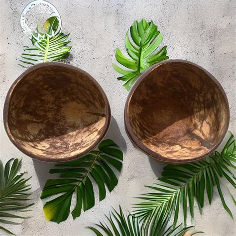 Coconut Shell Medium (250 to 300 ml) 100% Biodegradable I Eco Friendly ...