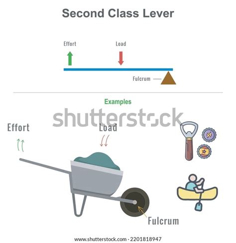 Image result for Class 2 Lever