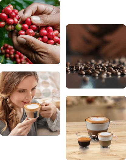 Collection Crema e Gusto
