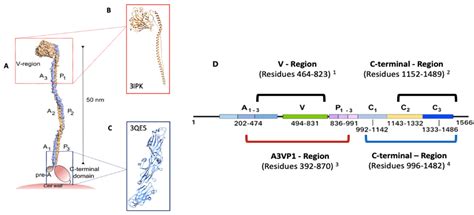 In Silico Selection and In Vitro Evaluation of New Molecules That ...