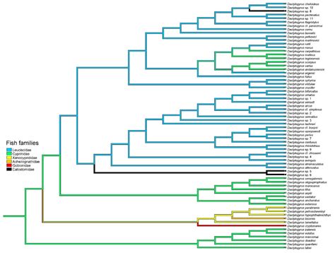 Host-Specific Parasites Reveal the History and Biogeographical Contacts ...