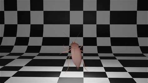 Cockroach Dance Song 的图像结果