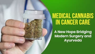Medical Cannabis in Cancer Care | Arogya Hospital Ludhiana | Dr. Ashish ...