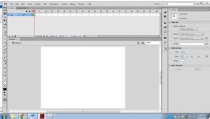 Image result for Flash Player Test 2012