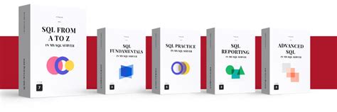 Image result for +Full Sack ASP SQL Tutorial 2022