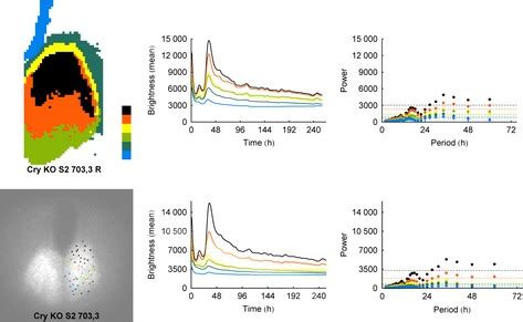 Image result for K Medoid Partitioning Example