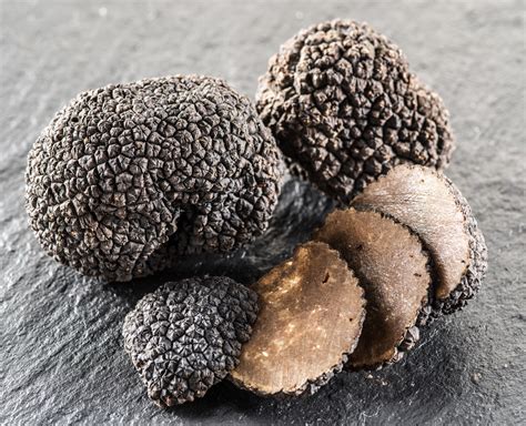 Truffle