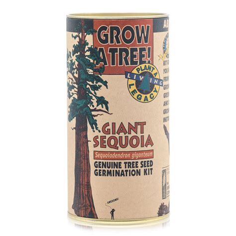 Seed Grow Kit: Giant Sequoia