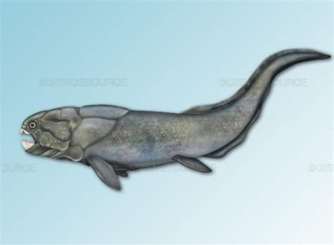 Image result for Fish Stink Meme